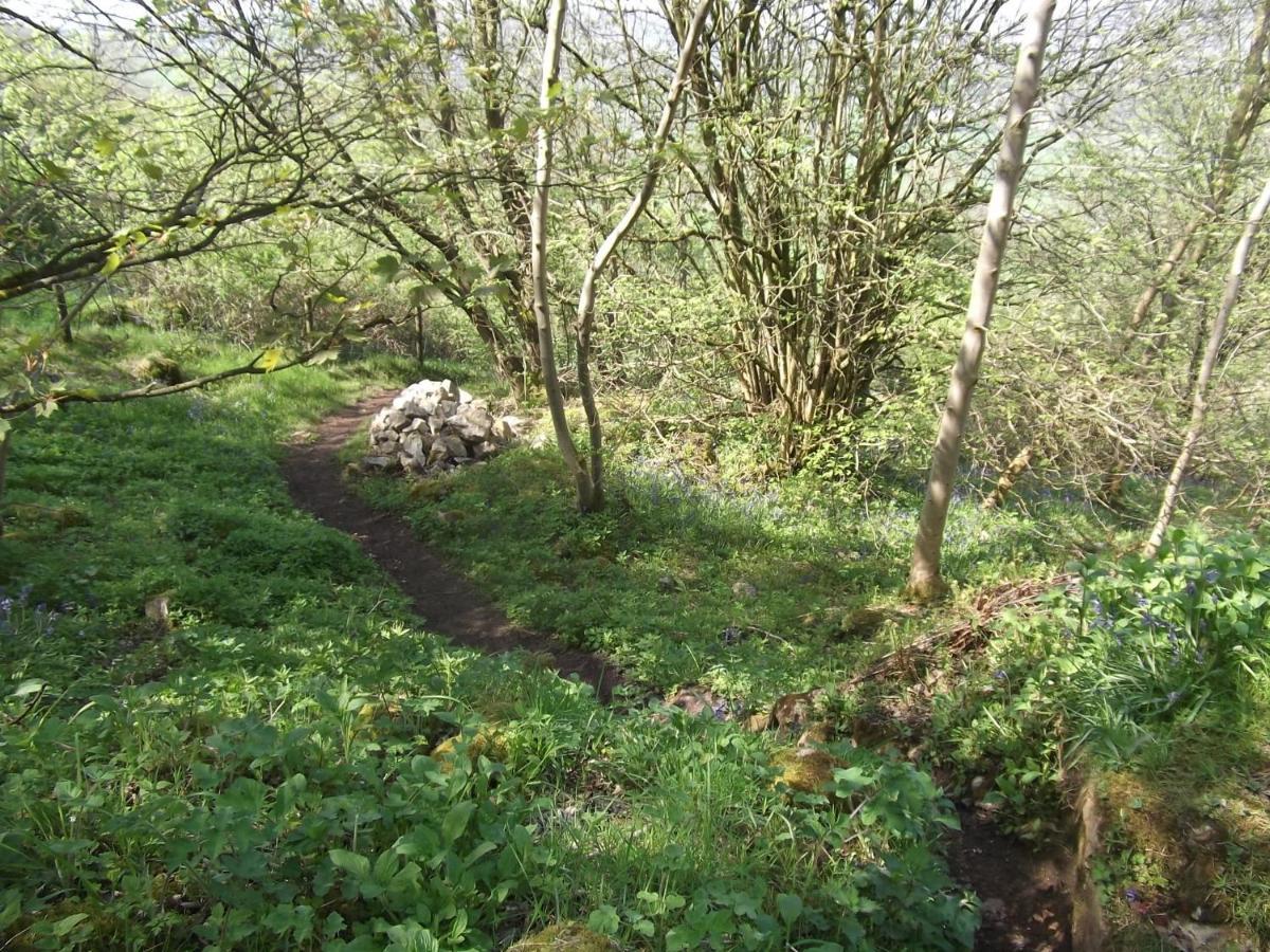 Hall Dale View Near Matlock & Peak District Matlock (Derbyshire) Exterior foto